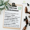 MACERAT HUILEUX DE CAROTTE BIO
