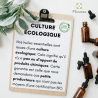 CONTROL' LINE - Mélange d'Huiles essentielles - Roll-on - 10 ML