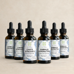 Pack Animaux Sans alcool
