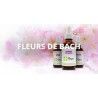 Mélanges Fleur de Bach