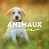 ANIMAUX