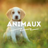 ANIMAUX Sans Alcool