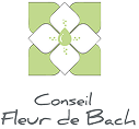 conseil en fleurs de bach