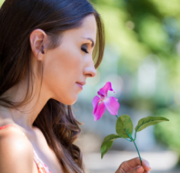 Tous les Mélanges de Fleurs de Bach