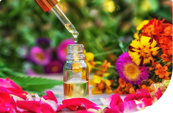 Découvrez Les produits favoris des experts en Fleurs de Bach